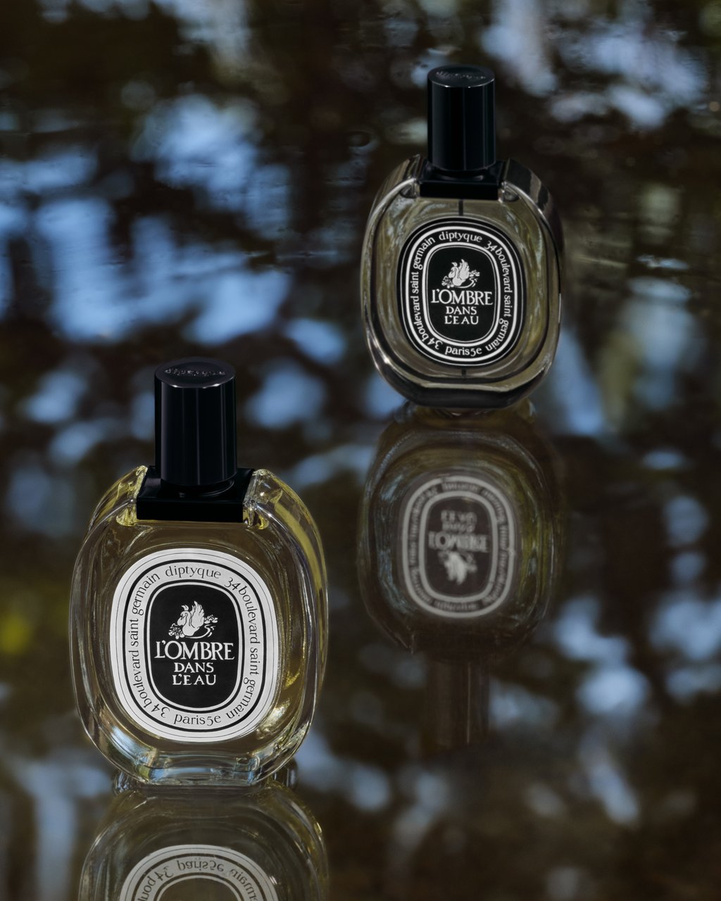 L'Ombre dans l'Eau