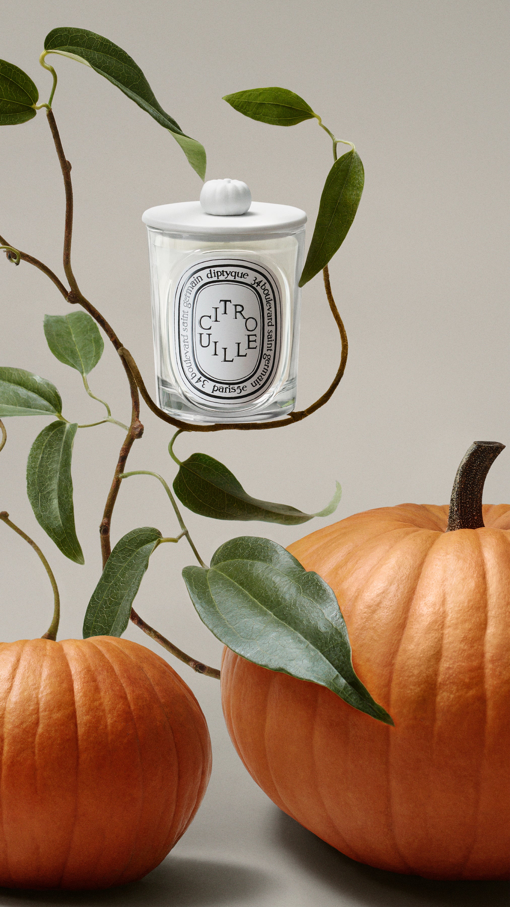Pumpkin Lid - For classic candle – Diptyque