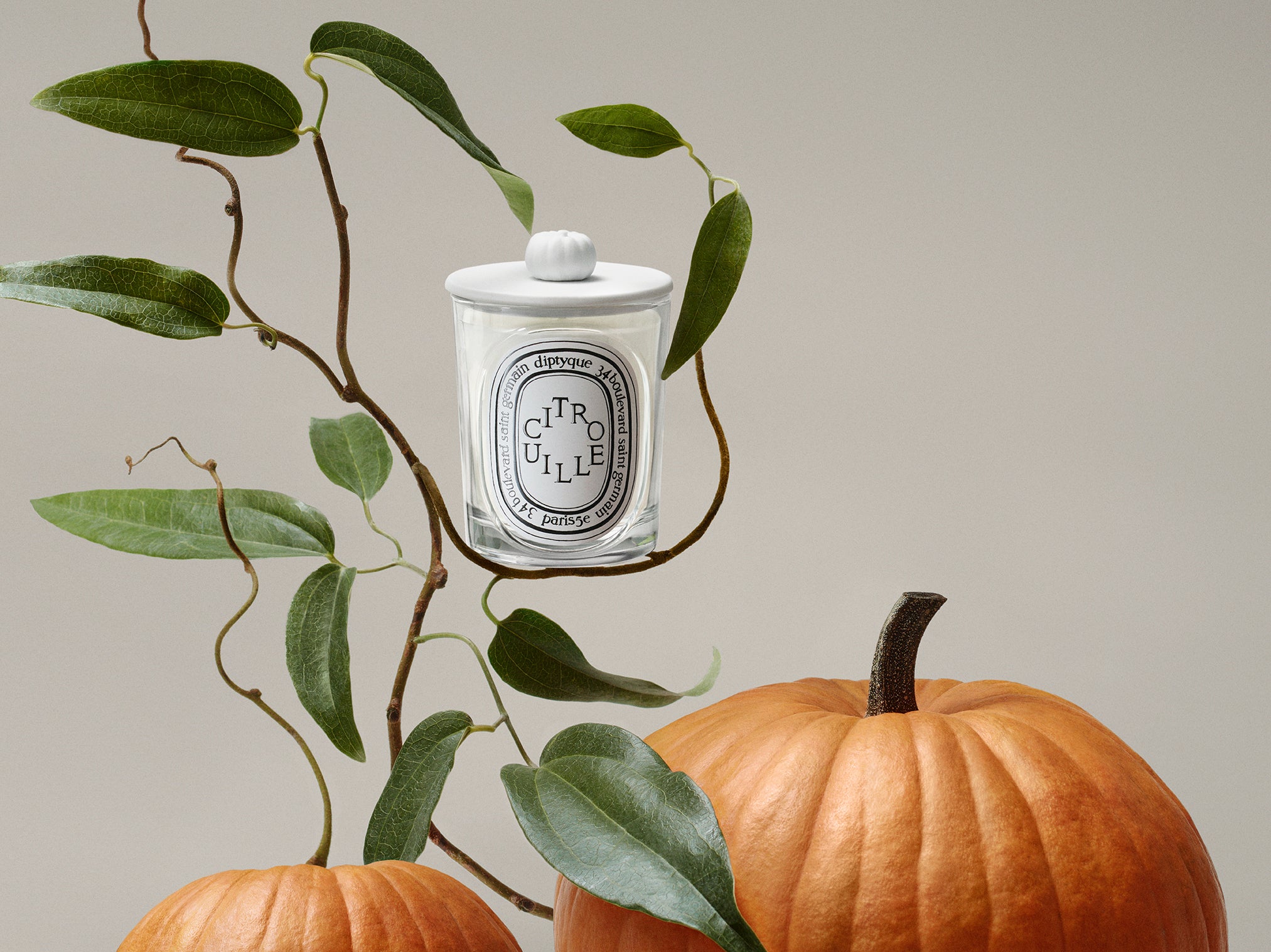 Lys (Lily) - Classic Candle – Diptyque