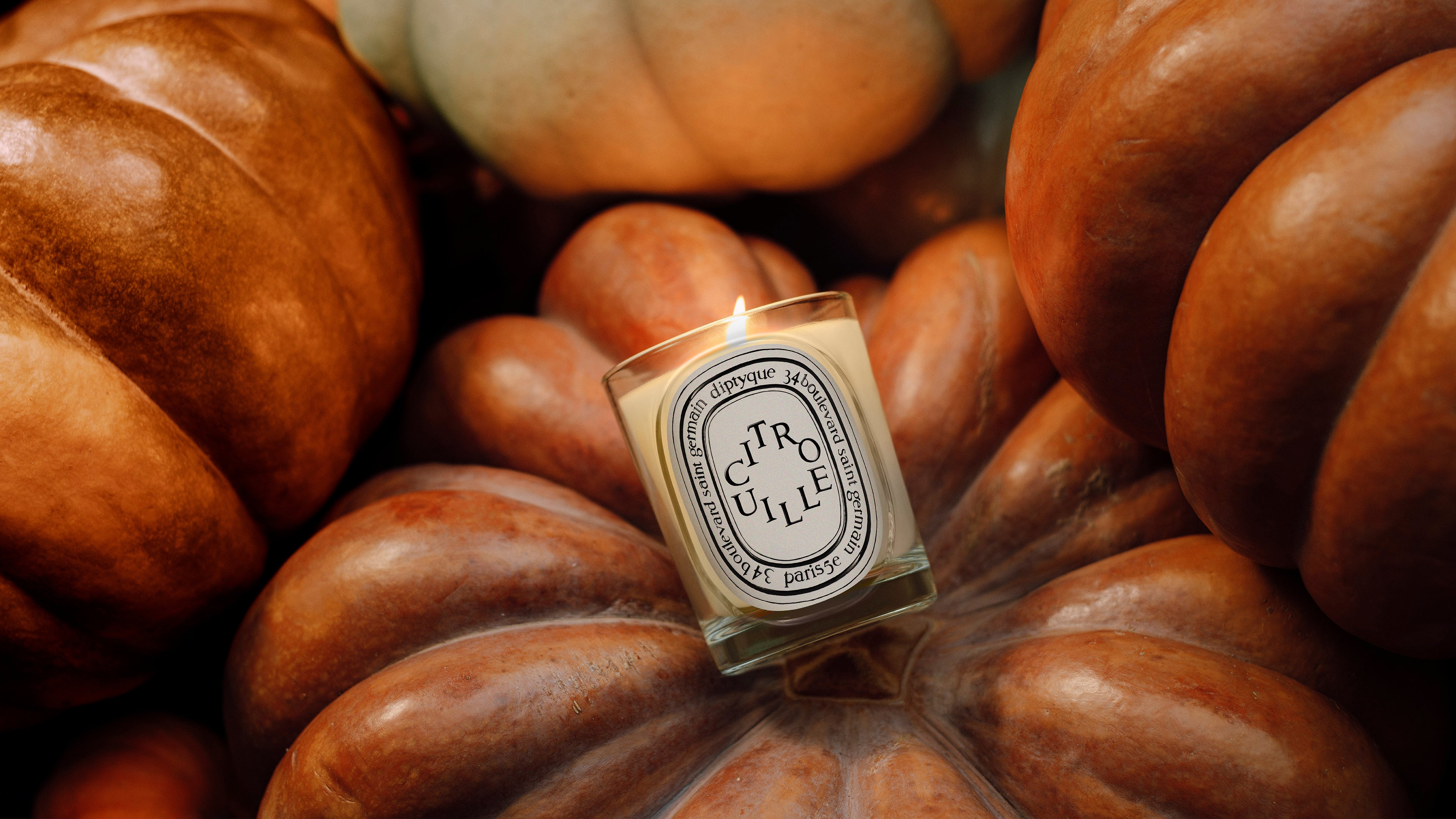 The new Citrouille (Pumpkin) candle, coming soon – Diptyque