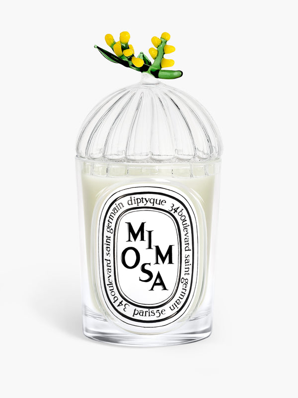 Deckel Mimosa (Mimose) - Für klassische Kerzen