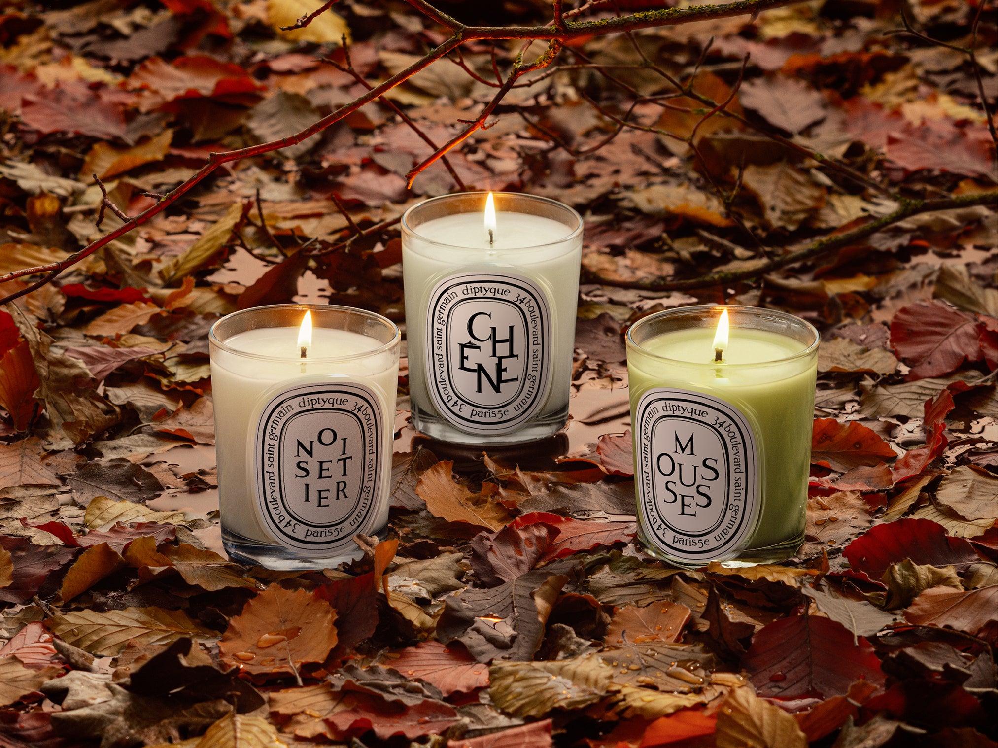 Roses - Classic Candle – Diptyque