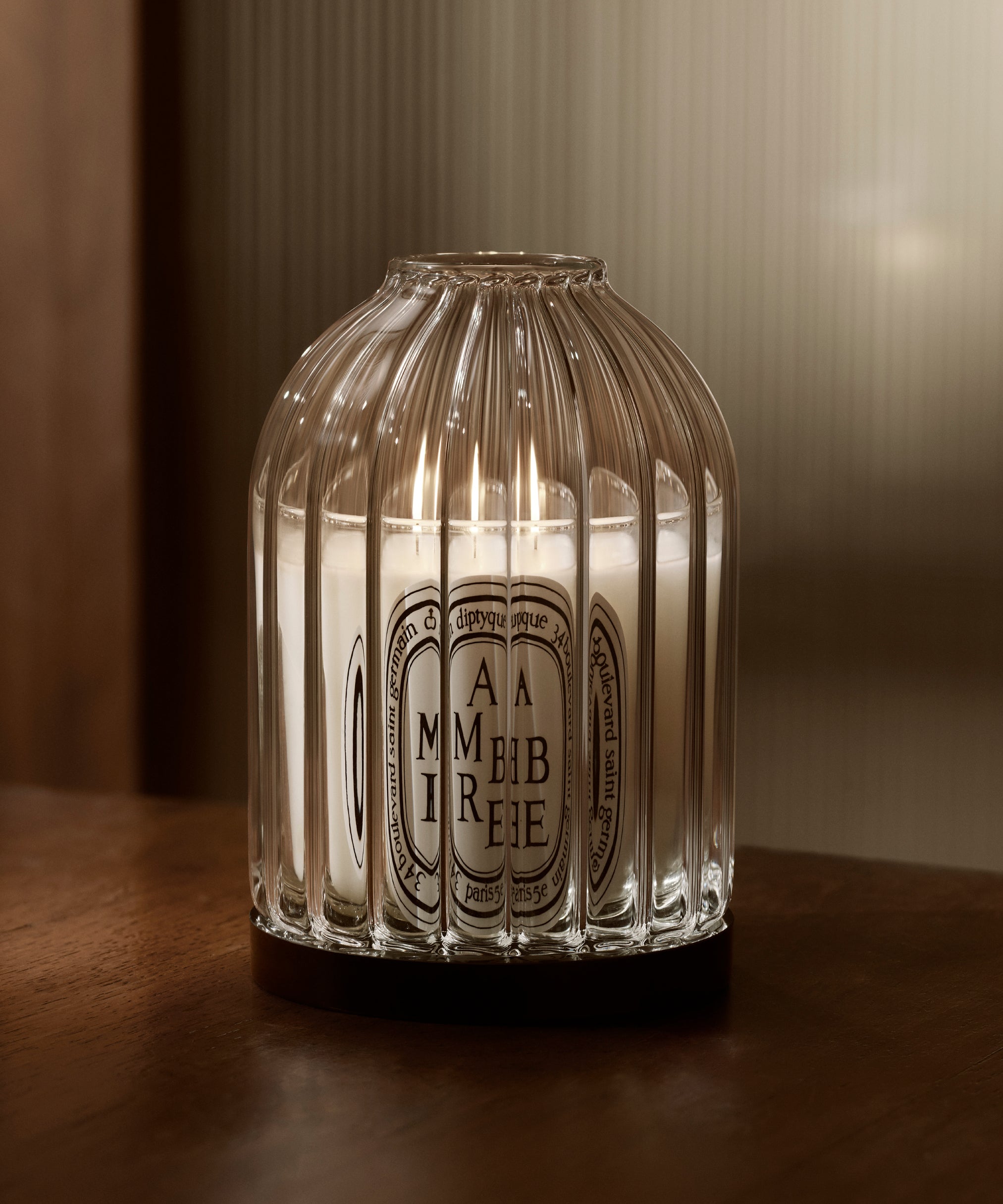Baies (Berries) - Classic candle – Diptyque