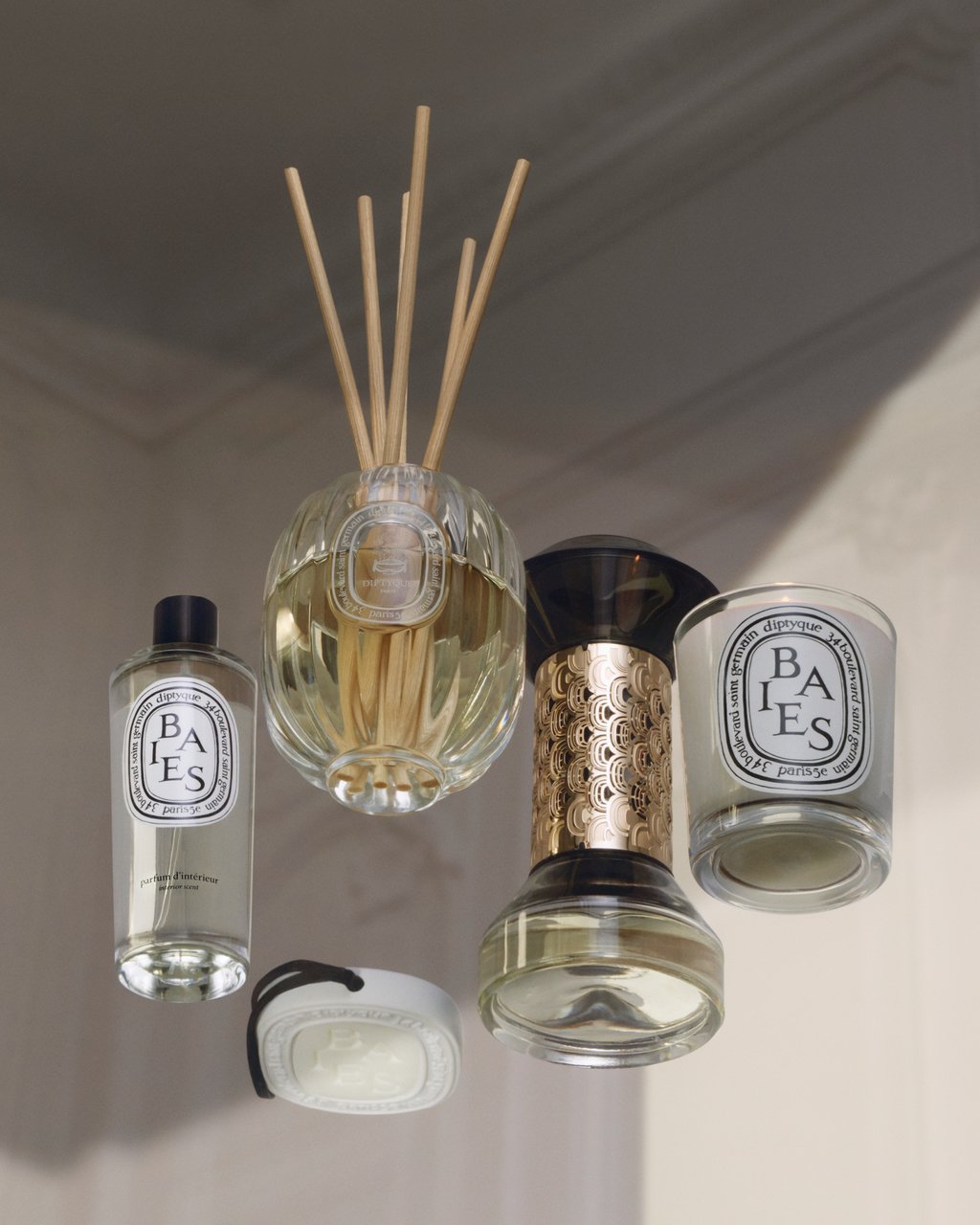 Baies (Berries) - Wax Oval – Diptyque