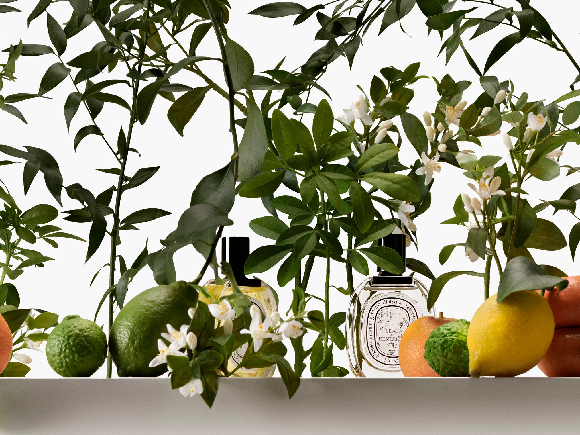 Oval Tray - Small – Diptyque
