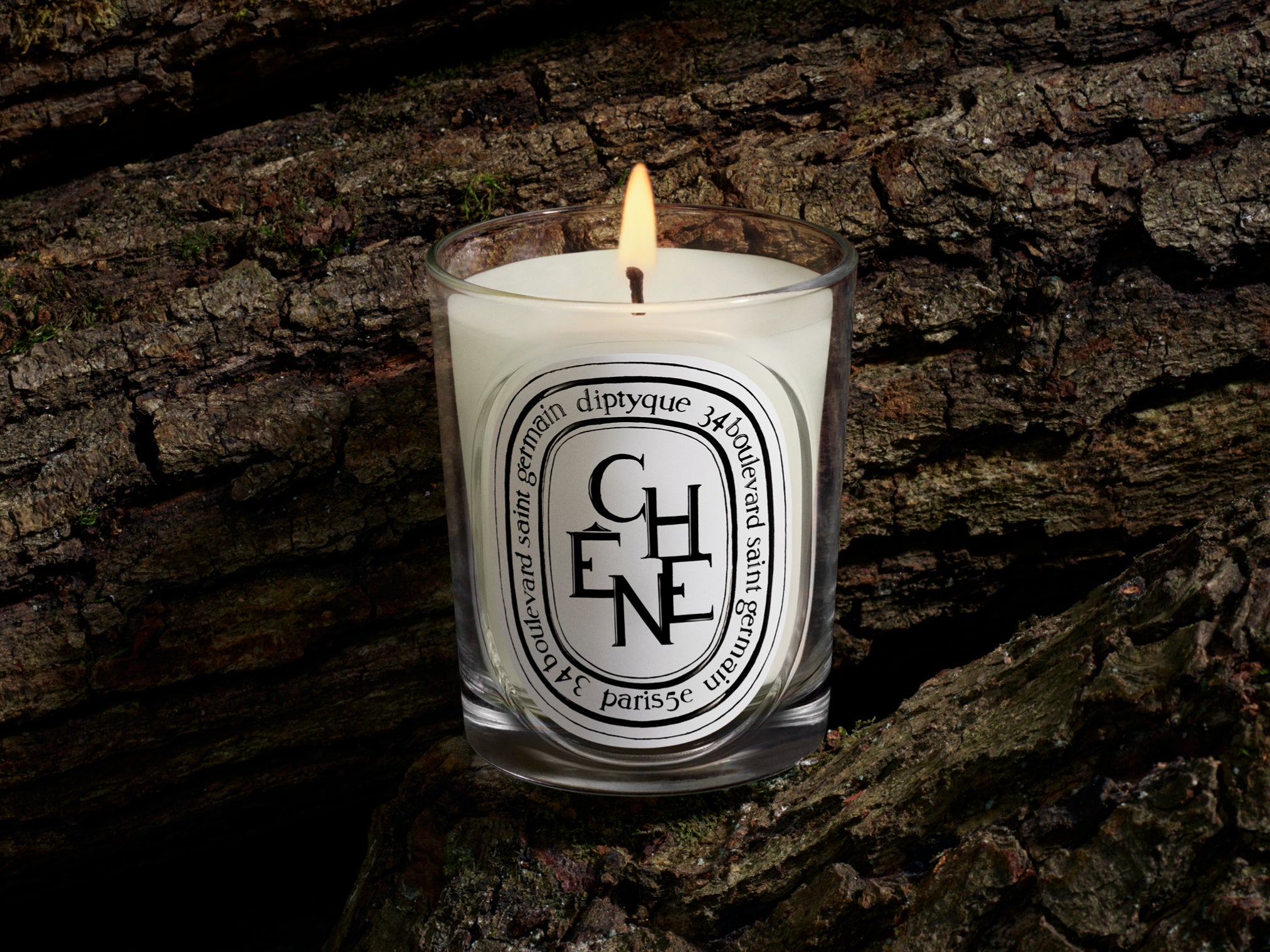 34 boulevard Saint Germain - Large Candle – Diptyque