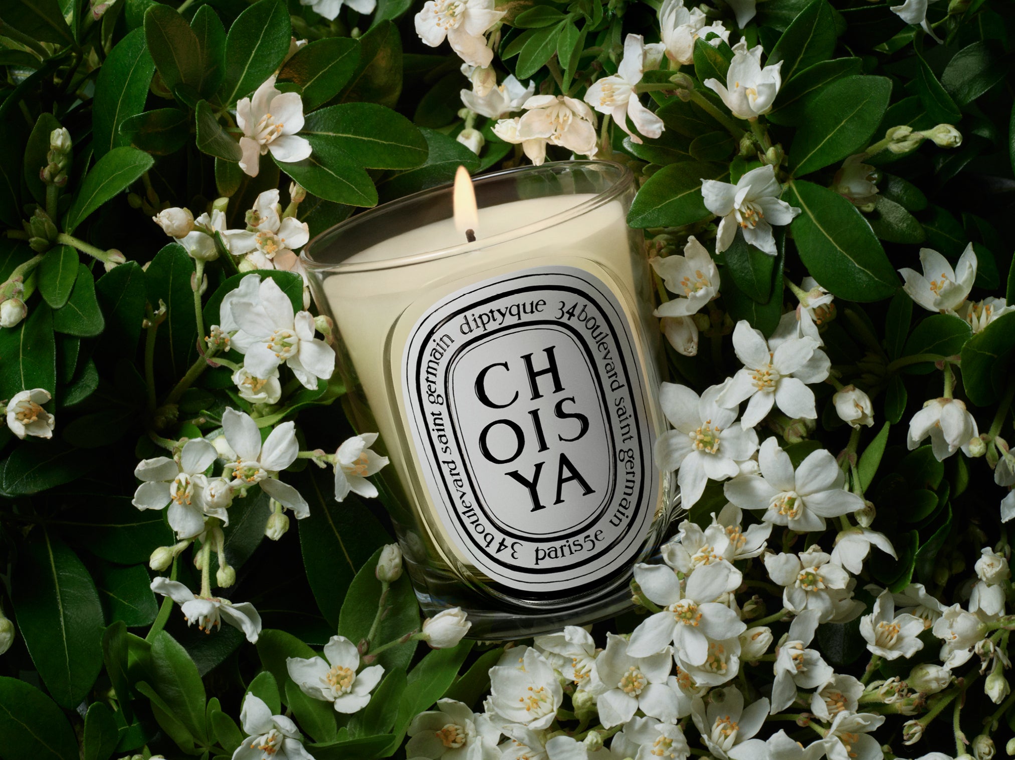 Café (Coffee) - Classic Candle – Diptyque