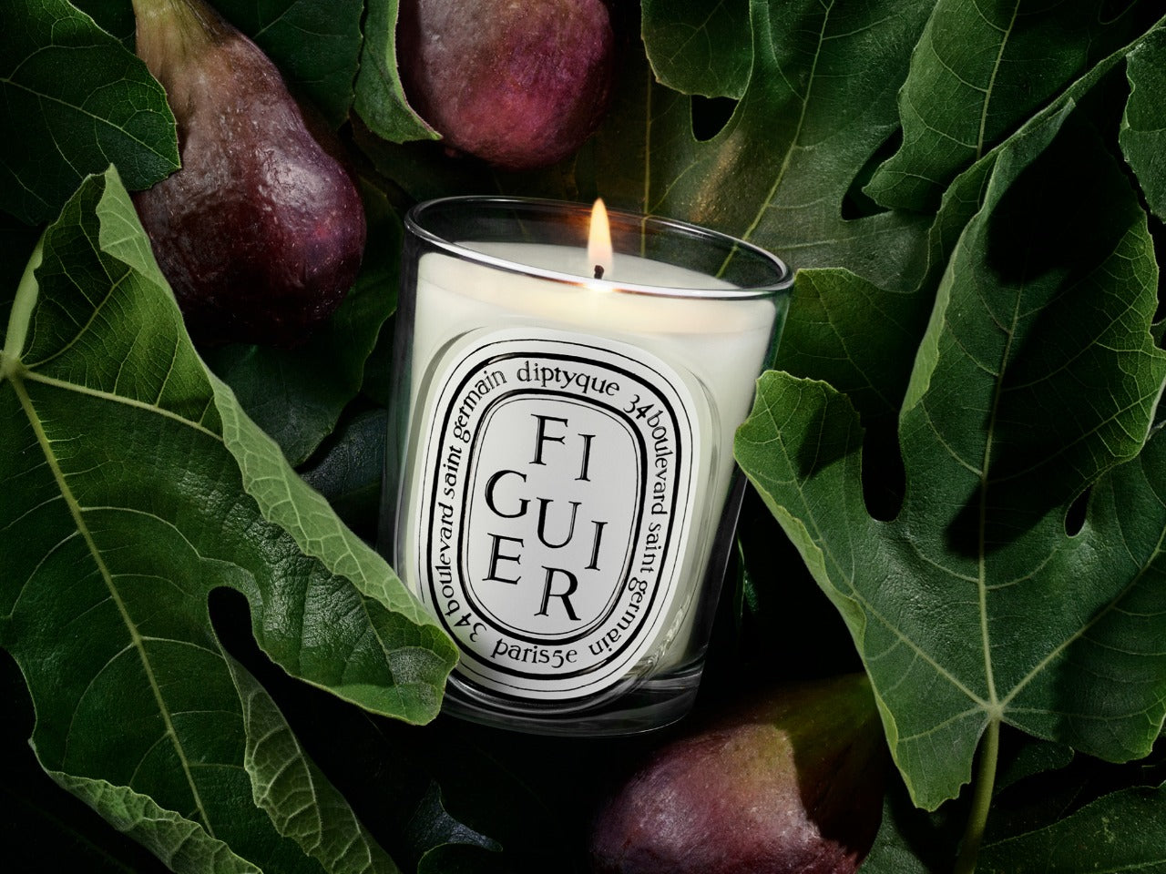 Genévrier (Juniper) - Classic Candle – Diptyque