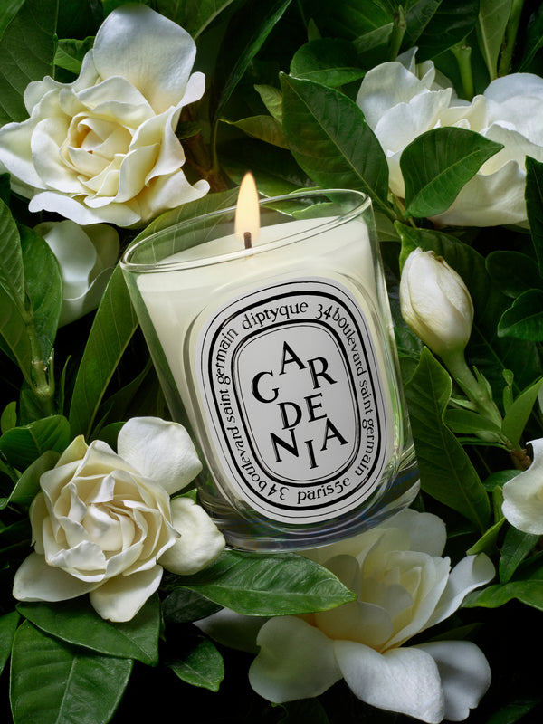 Gardénia - Bougie modèle classique