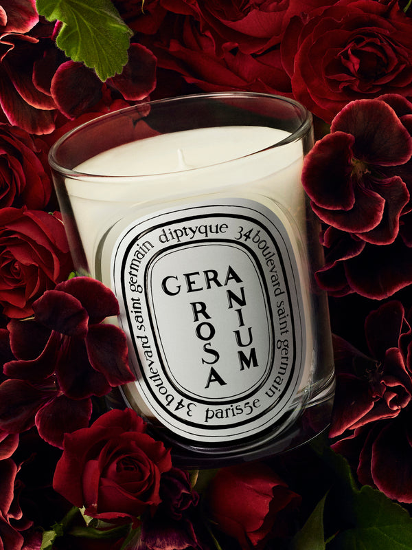 Géranium Rosa (Geranio Rosa) - Vela modelo clásico