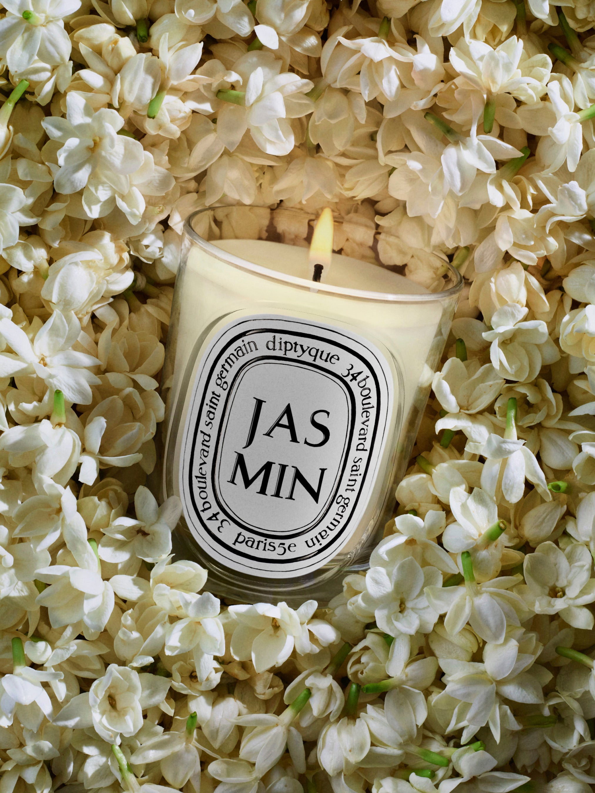 Jasmin (Jasmine) - Classic Candle – Diptyque