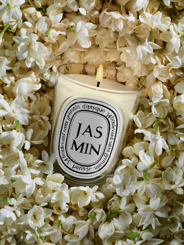 Jasmin - Bougie modèle classique