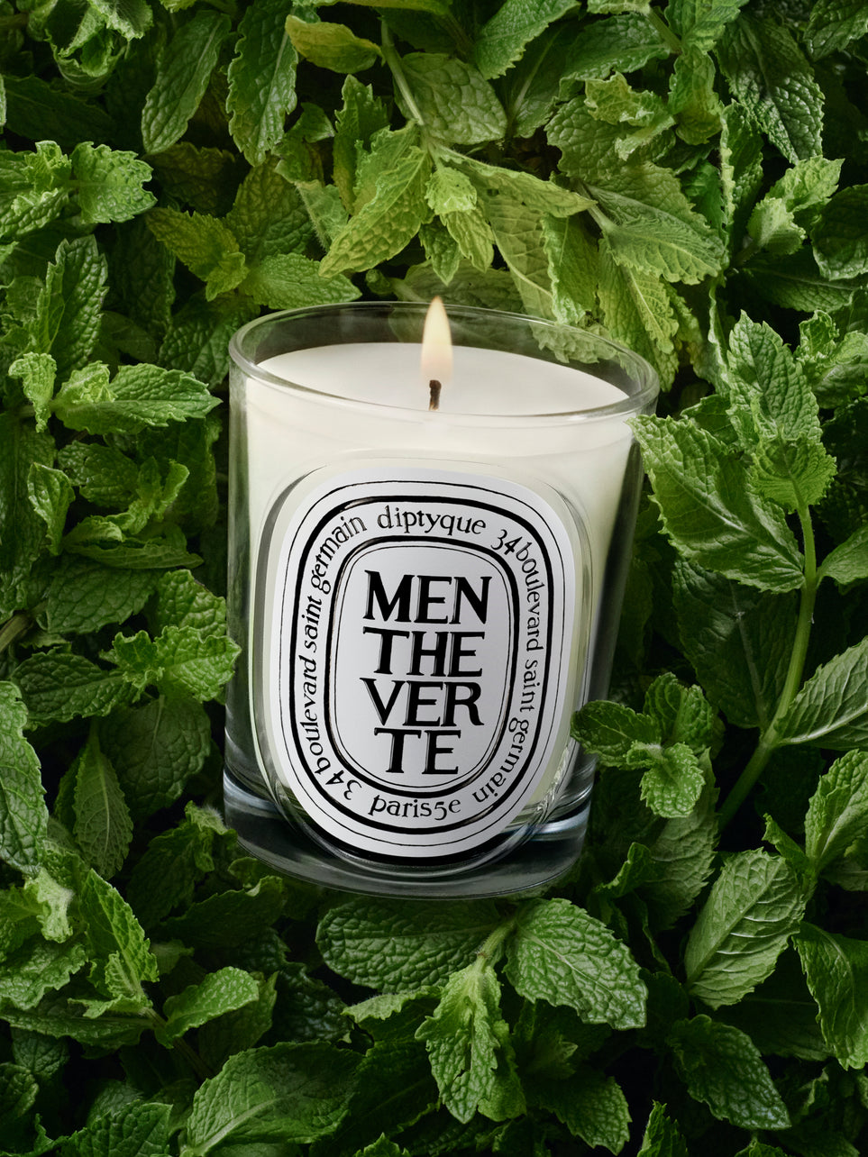 Menthe Verte (Spearmint) - Classic Candle