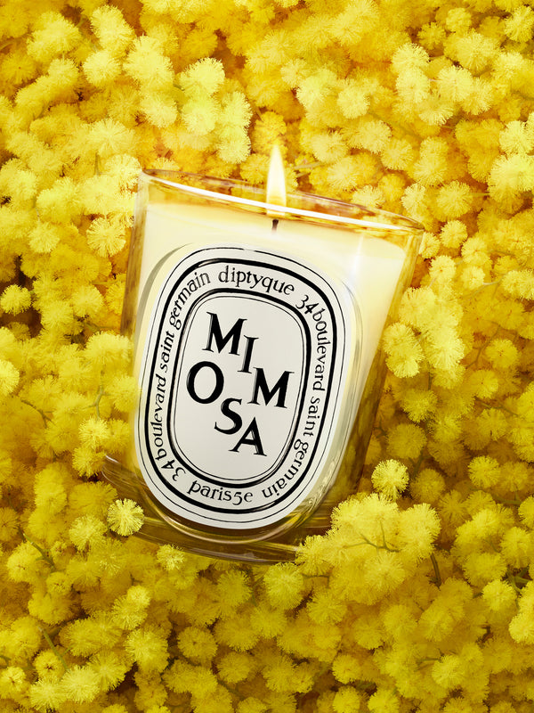Mimosa - Bougie modèle classique