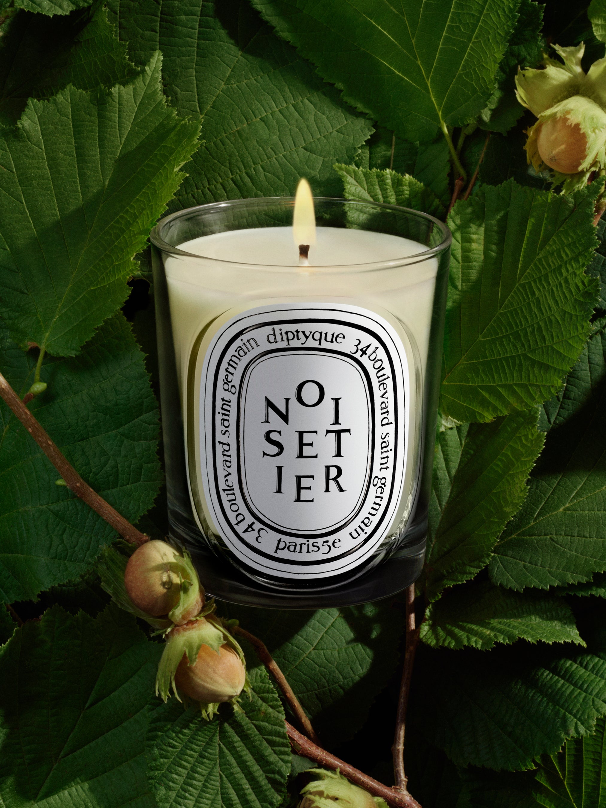 diptyque Mousse & Noisetier キャンドル 190g Noisetier (Hazel Tree) - Classic Candle – Diptyque