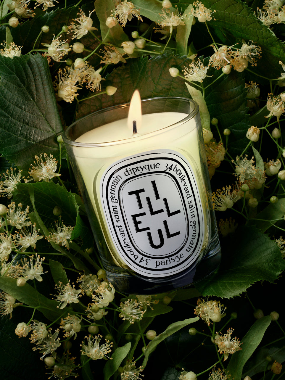 Tilleul (Linden Tree) - Classic Candle