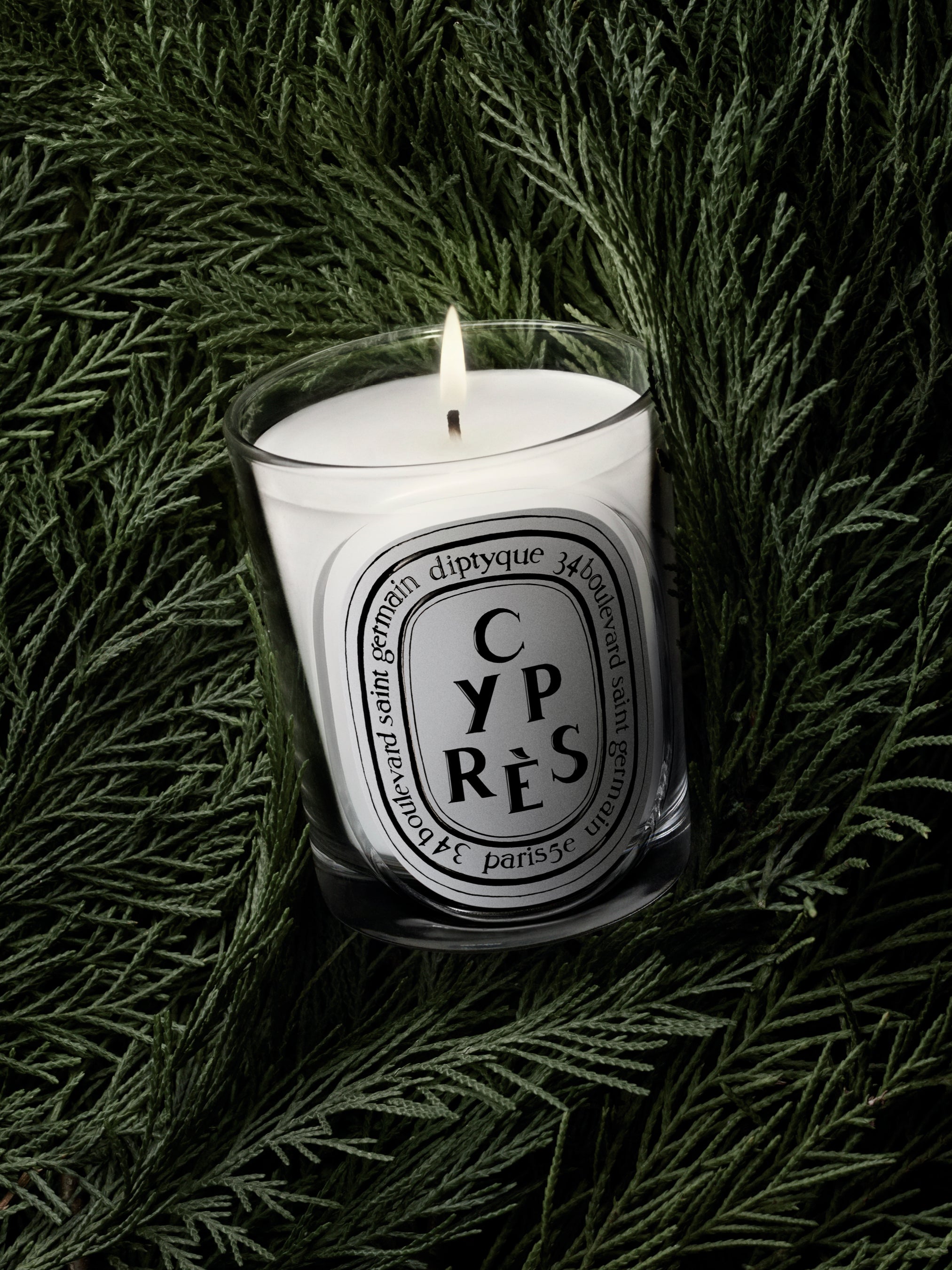 Cyprès (Cypress) - Classic Candle – Diptyque