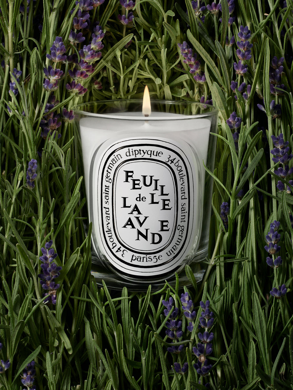 Feuille de Lavande (Foglie di lavanda) - Candela classica