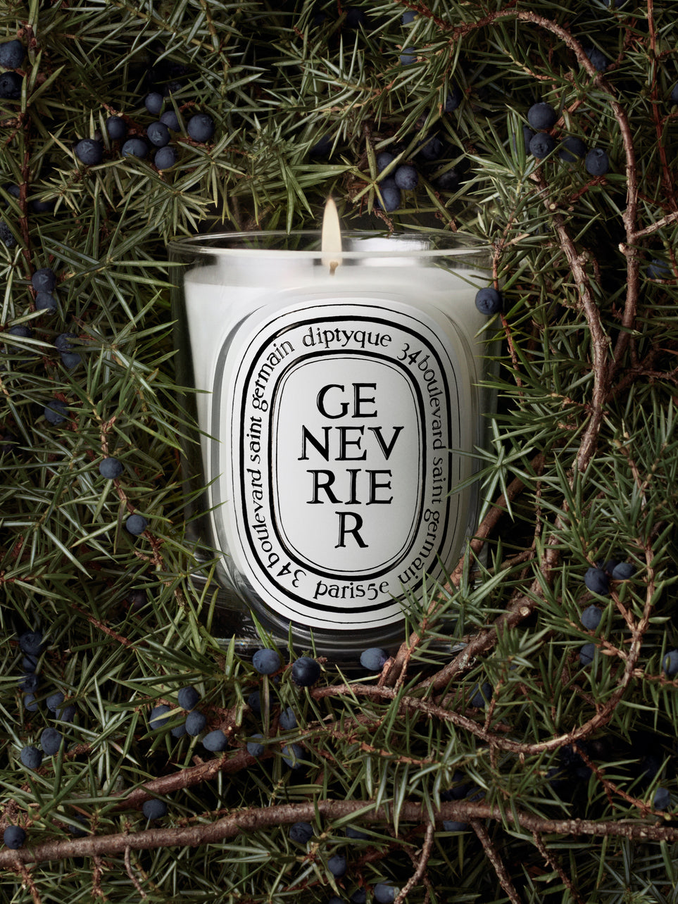 Genévrier (Juniper) - Classic Candle