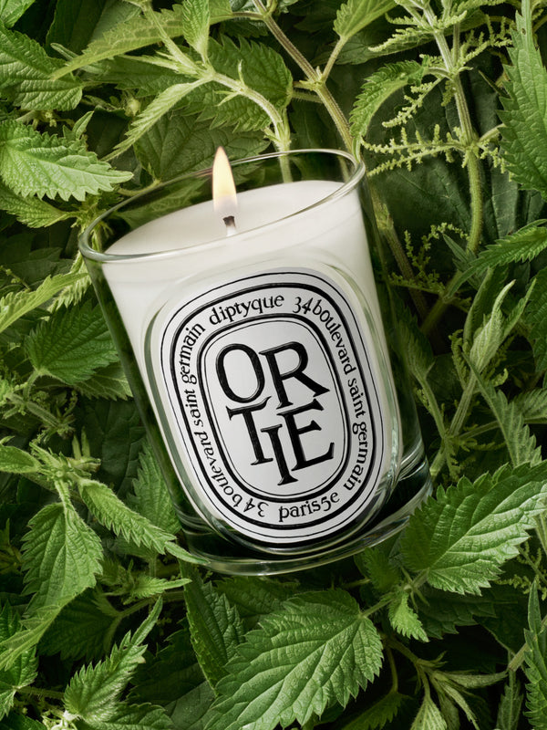 Ortie - Bougie modèle classique