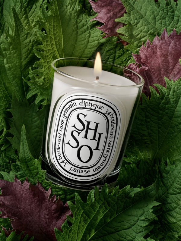 Shiso - Bougie modèle classique