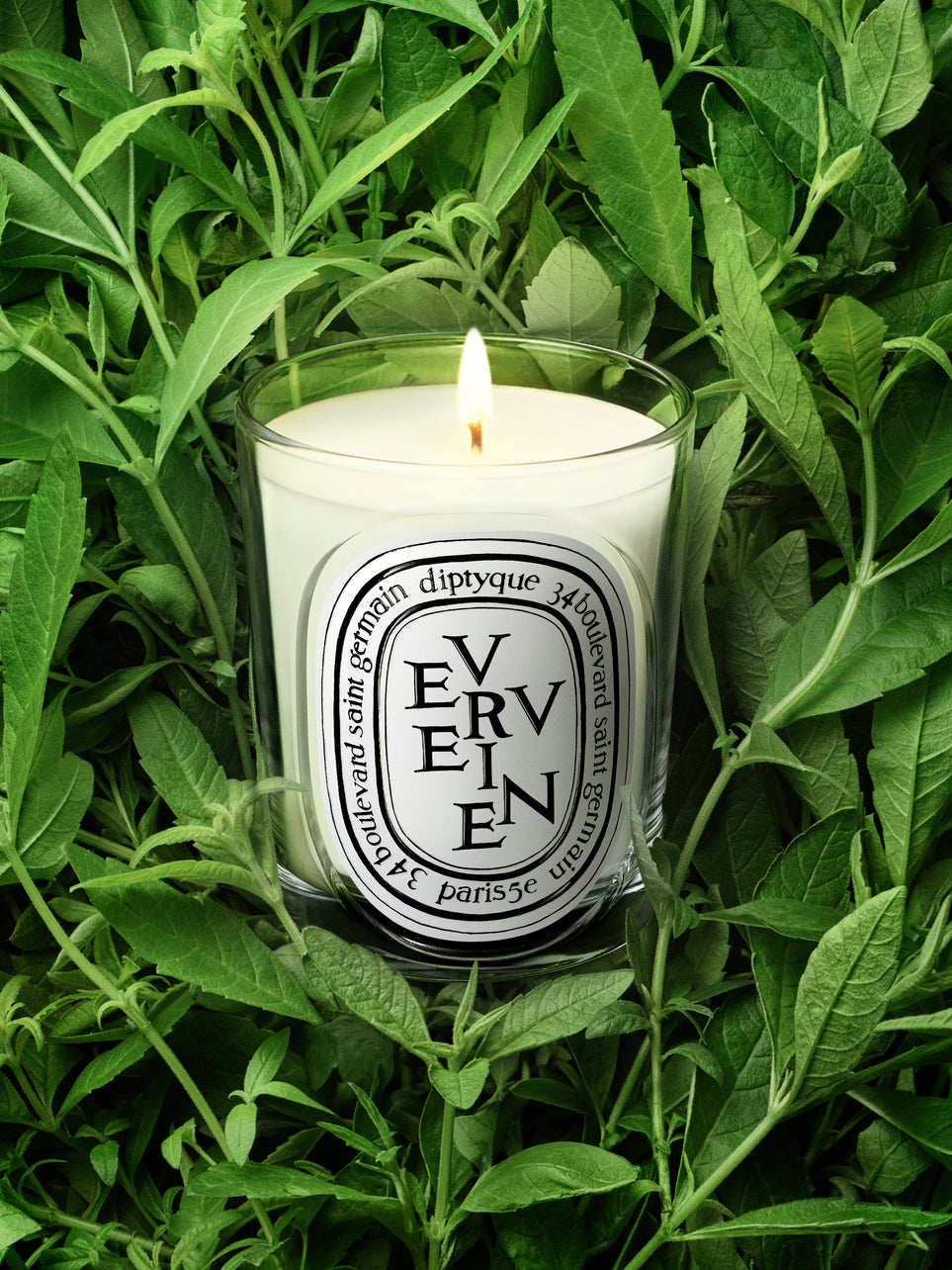 Verveine (Lemon Verbena Scented) - Classic Candle
