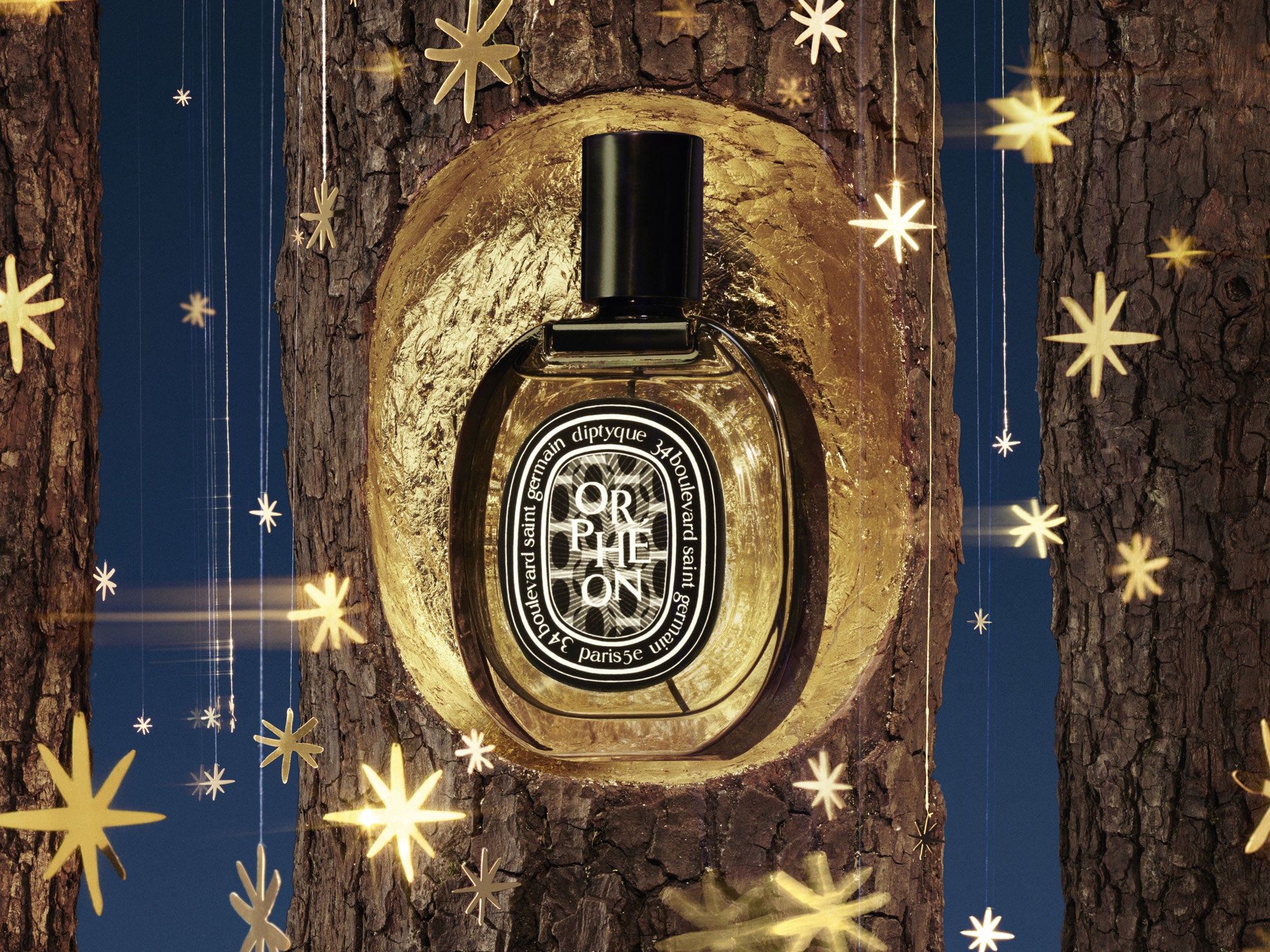 Figuier (Fig Tree) - Classic Candle – Diptyque