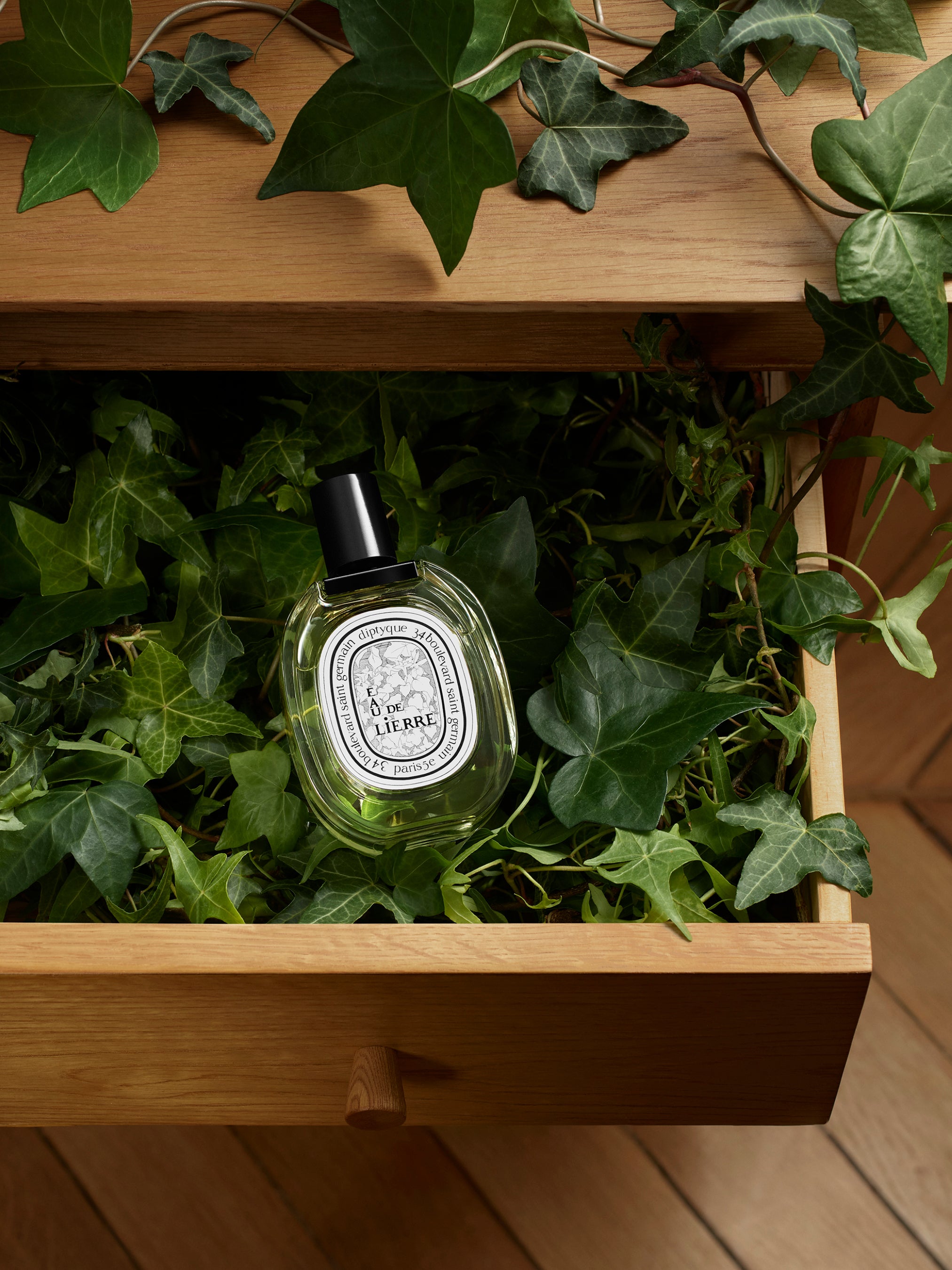 Eau de Lierre - Eau de toilette – Diptyque