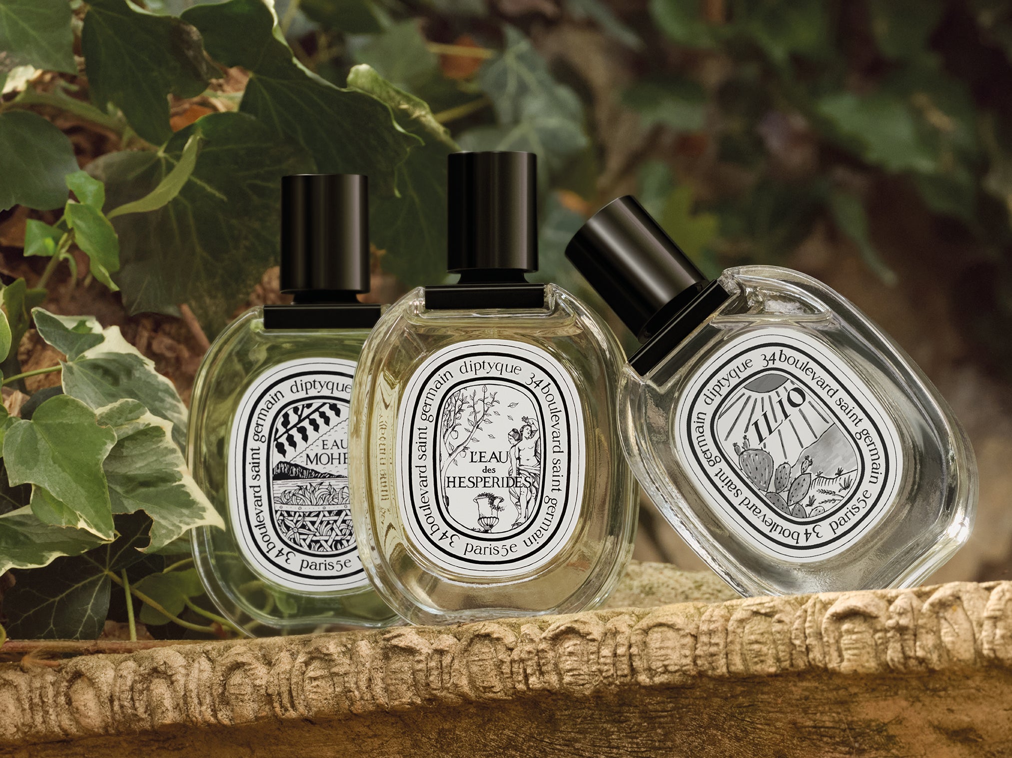 Basile Engraved Sleeve - For matchbox – Diptyque