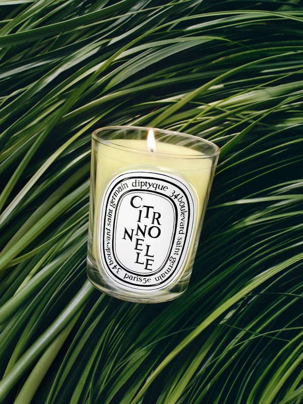 Citronnelle (Citronela) - Vela modelo clasico