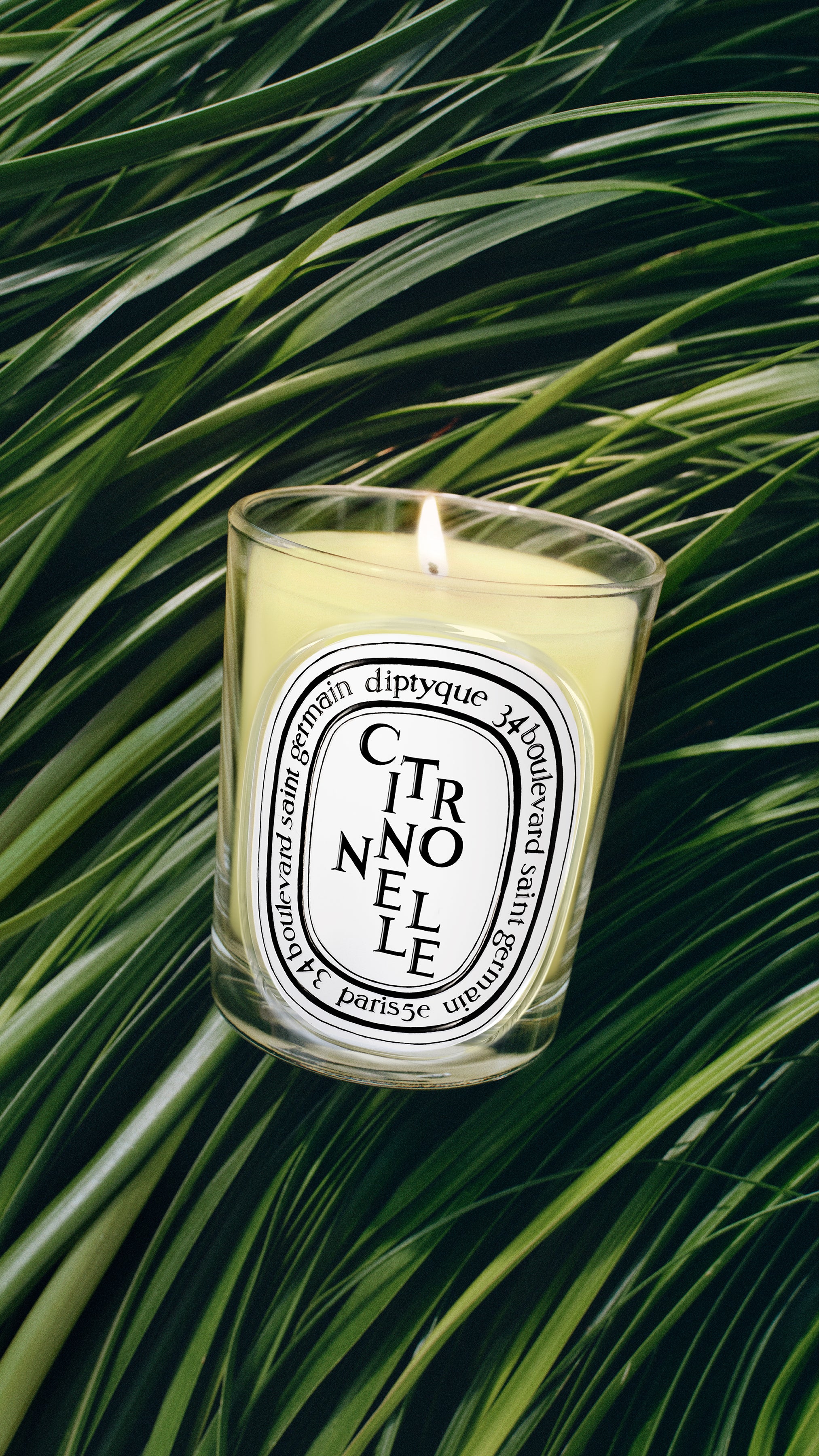 Diptyque Citronnelle アロマキャンドル 2個セット Citronnelle (Lemongrass) - Classic Candle – Diptyque