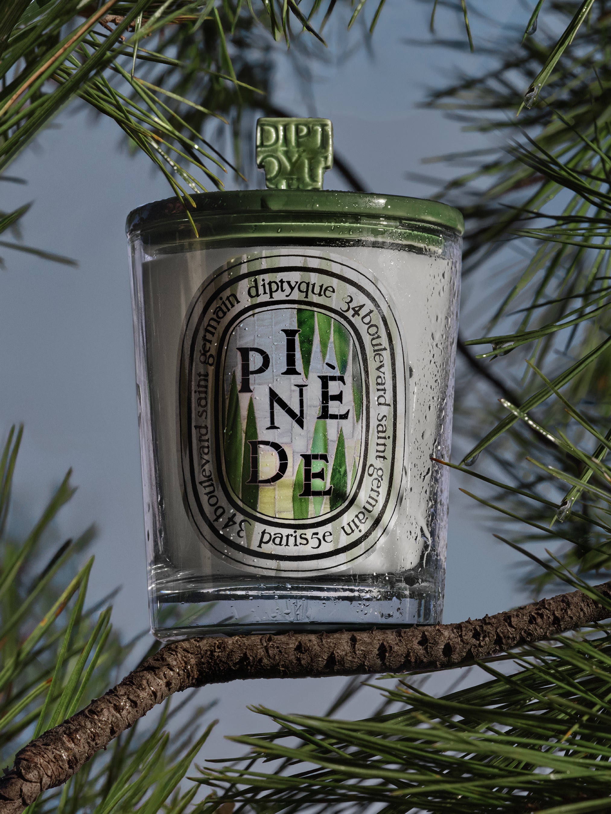 Pine Grove Green Pyramid Lid - For classic candles – Diptyque