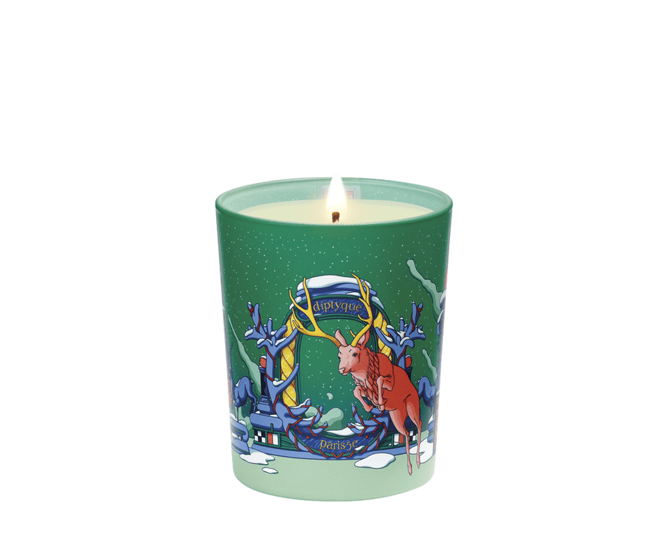 Piccola Candela Abete di Notte