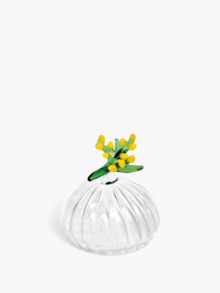 Mimosa Lid - For classic candles – Diptyque