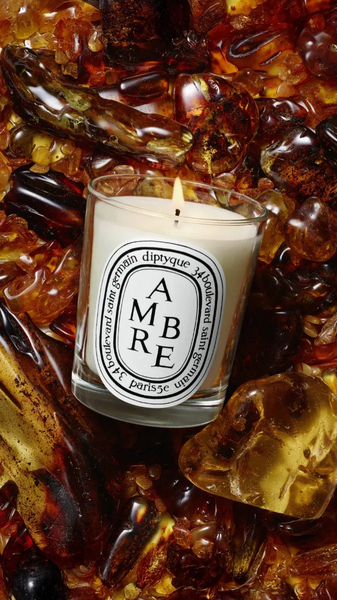 diptyqueディプティック　キャンドル 190g アンブルAMBER 未開封 Ambre (Amber) - Small Candle – Diptyque
