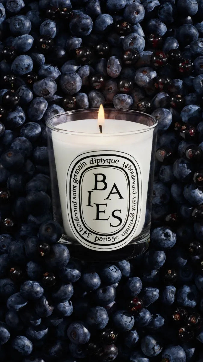 Baies (Berries) - Small Candle – Diptyque