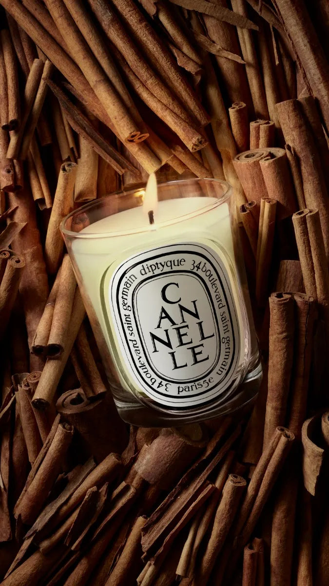 DIPTYQUE ディプティック キャンドル CUIR(キュイール) DIPTYQUE DIPTYQUE ディプティック キャンドル CUIR(キュイール) DIPTYQUE