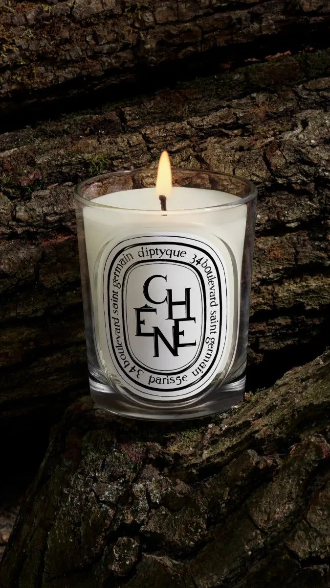 Chêne (Quercia) - Candela classica