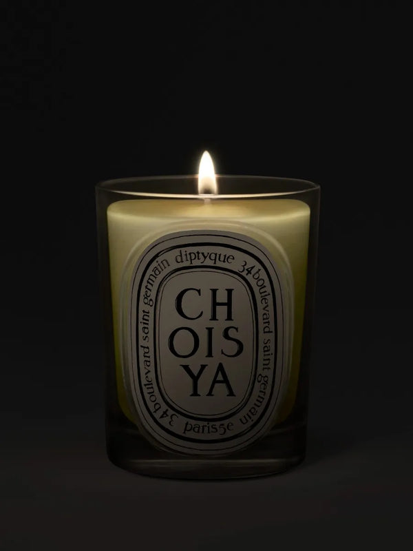 Choisya (Fiori d'Arancio) - Candela classica