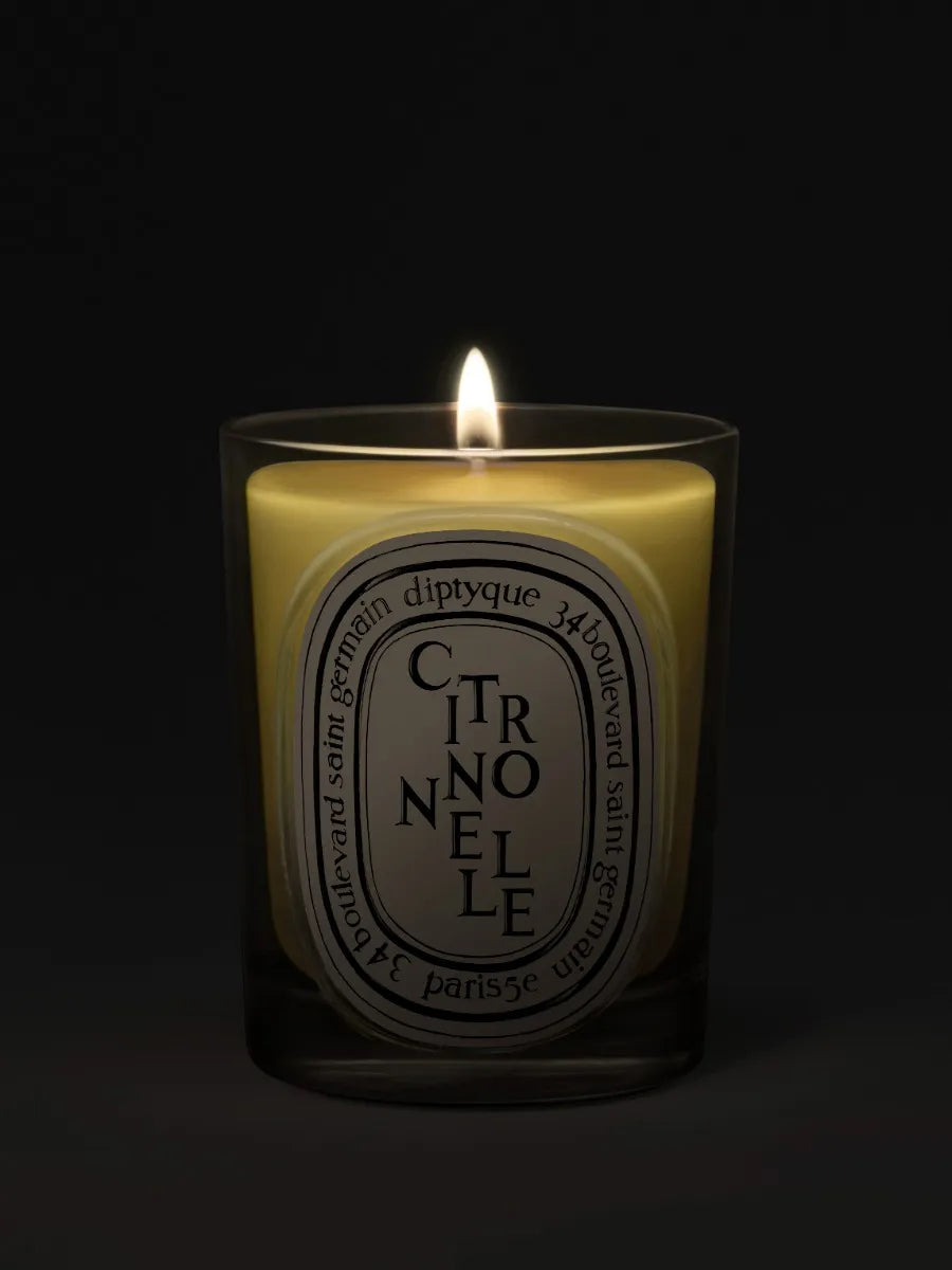 Citronnelle (Lemongrass) - Classic Candle – Diptyque