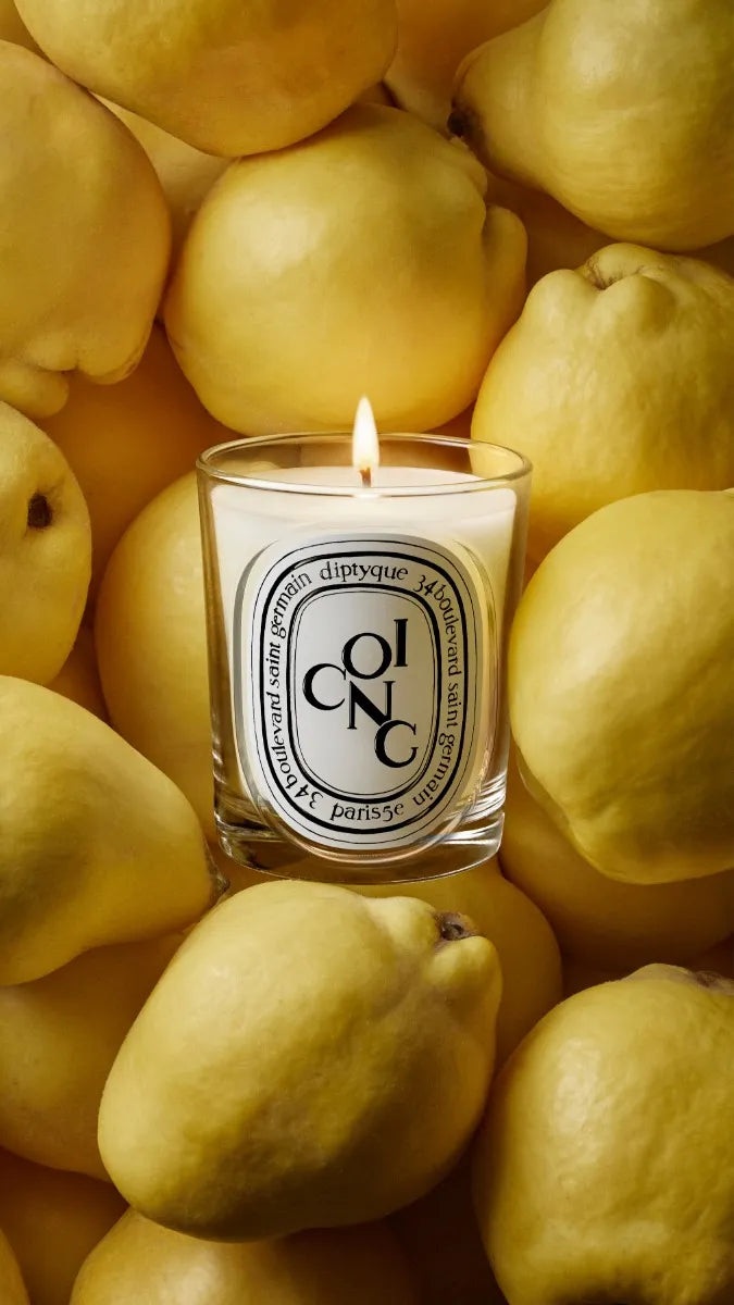 Coing (Mela Cotogna) - Candela classica