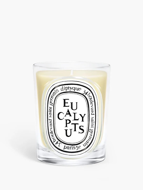 Eucalyptus (Eucalipto) - Candela classica