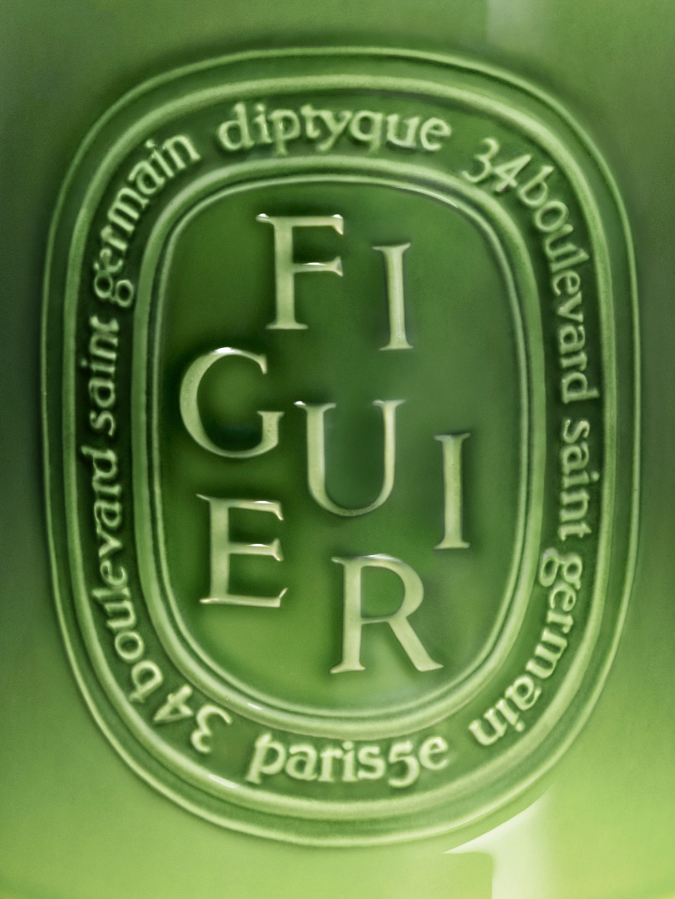 Figuier (Fig Tree) - Very Large Candle – Diptyque