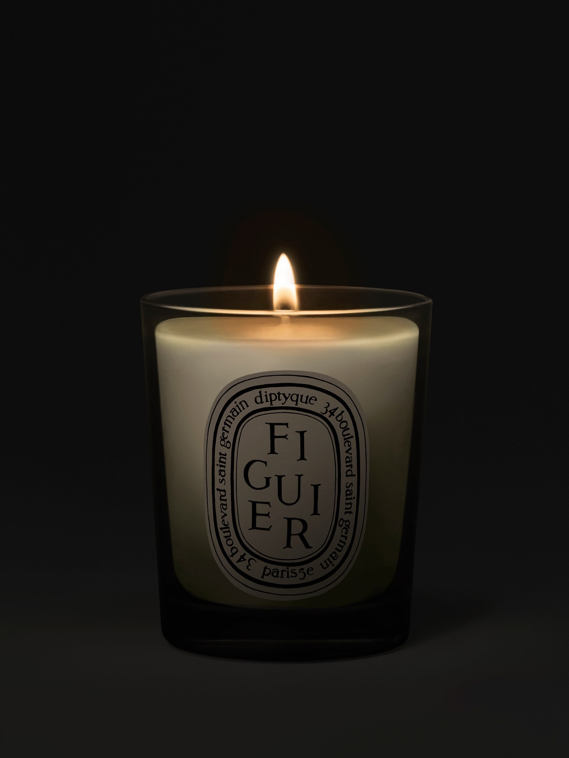 Diptyque BAIES & FIGUIER ミニキャンドル 70g Figuier (Fig Tree) - Small Candle – Diptyque