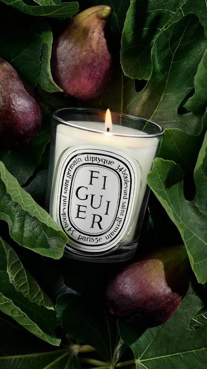 Figuier (Fig Tree) - Classic Candle – Diptyque