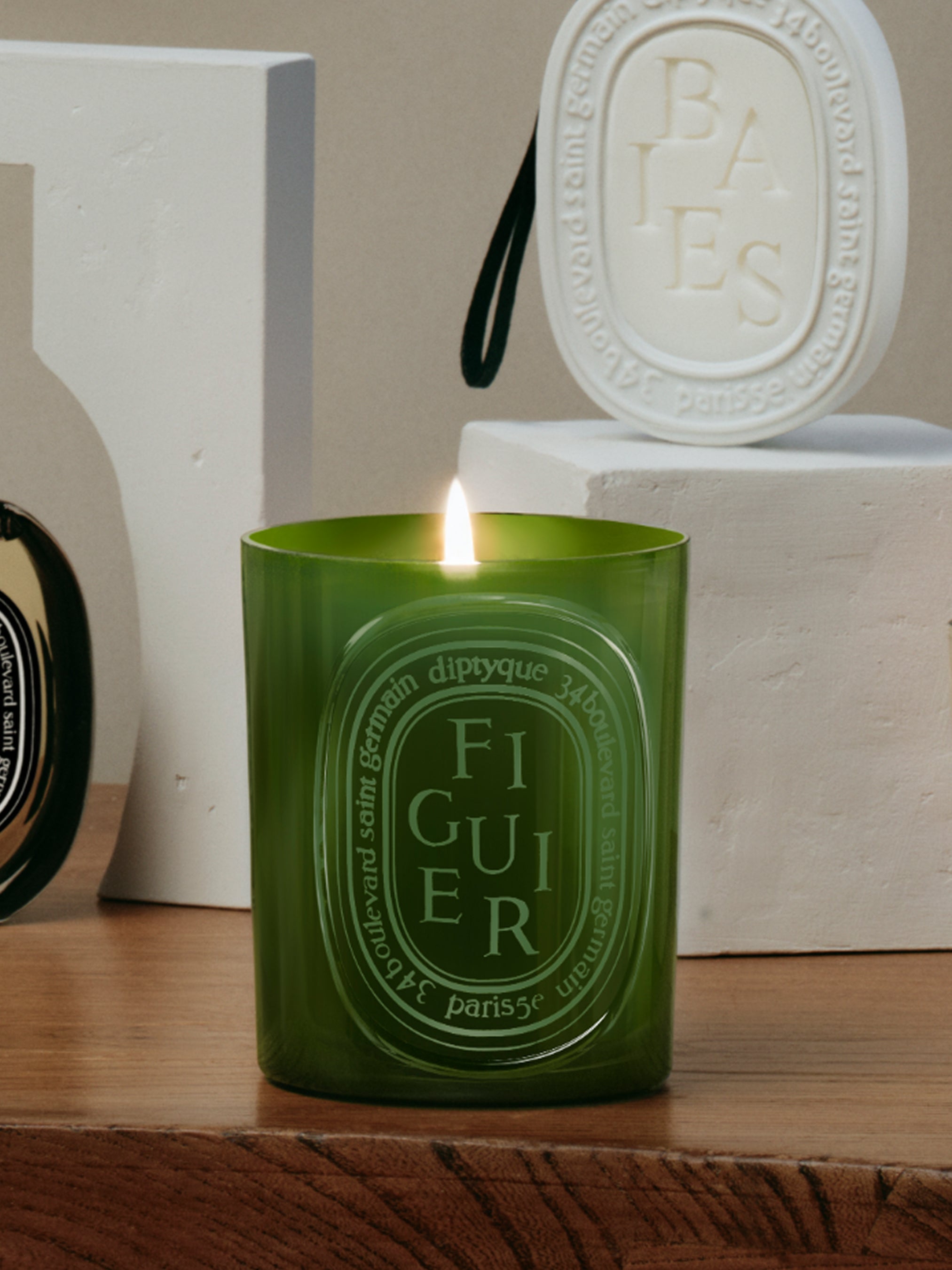 Figuier (Fig Tree) - Medium Candle – Diptyque