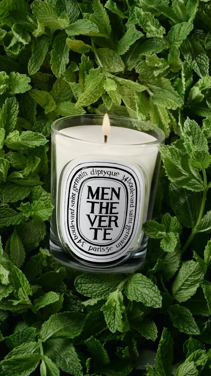 Menthe Verte (Grüne Minze) - Klassische Kerze