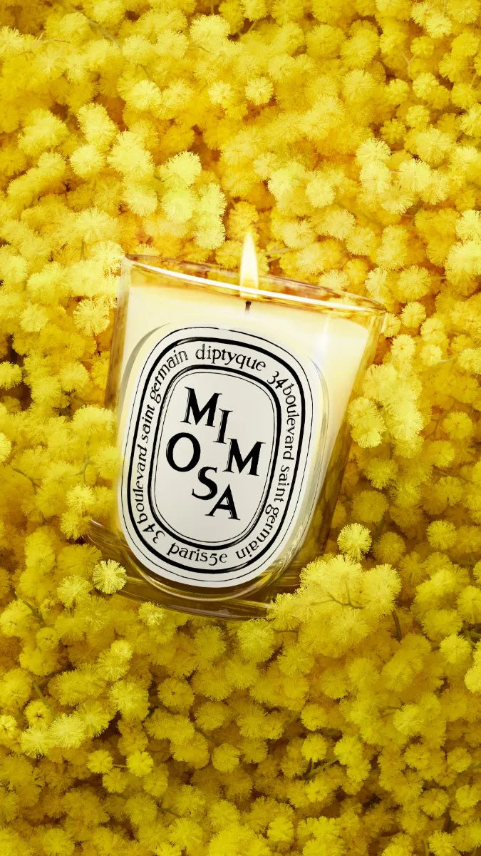【新品・未開封】DIPTYQUE クラシックキャンドル MIMOSA (ミモザ) Mimosa - Classic Candle – Diptyque
