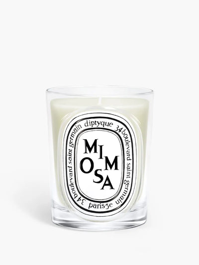 Mimosa (Mimose) - Klassische Kerze
