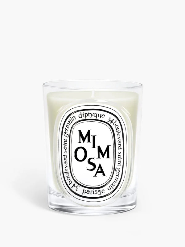 Mimosa - Candela classica